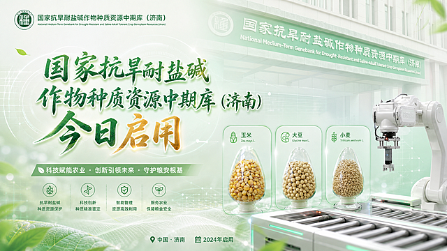 制作一张16:9横版科技感海报，标题为"国家抗旱耐盐碱作物种质资源中期库（济南）今日启用"，标题使用艺术字；背景使用抠取后的门头图片，融入科技感风格；海报中需要包含玉米、大豆、小麦种子展示图以及智能机械臂图片，整体风格参考最后一张浅绿色简约排版图片，色调清新，具有科技感和农业科技氛围