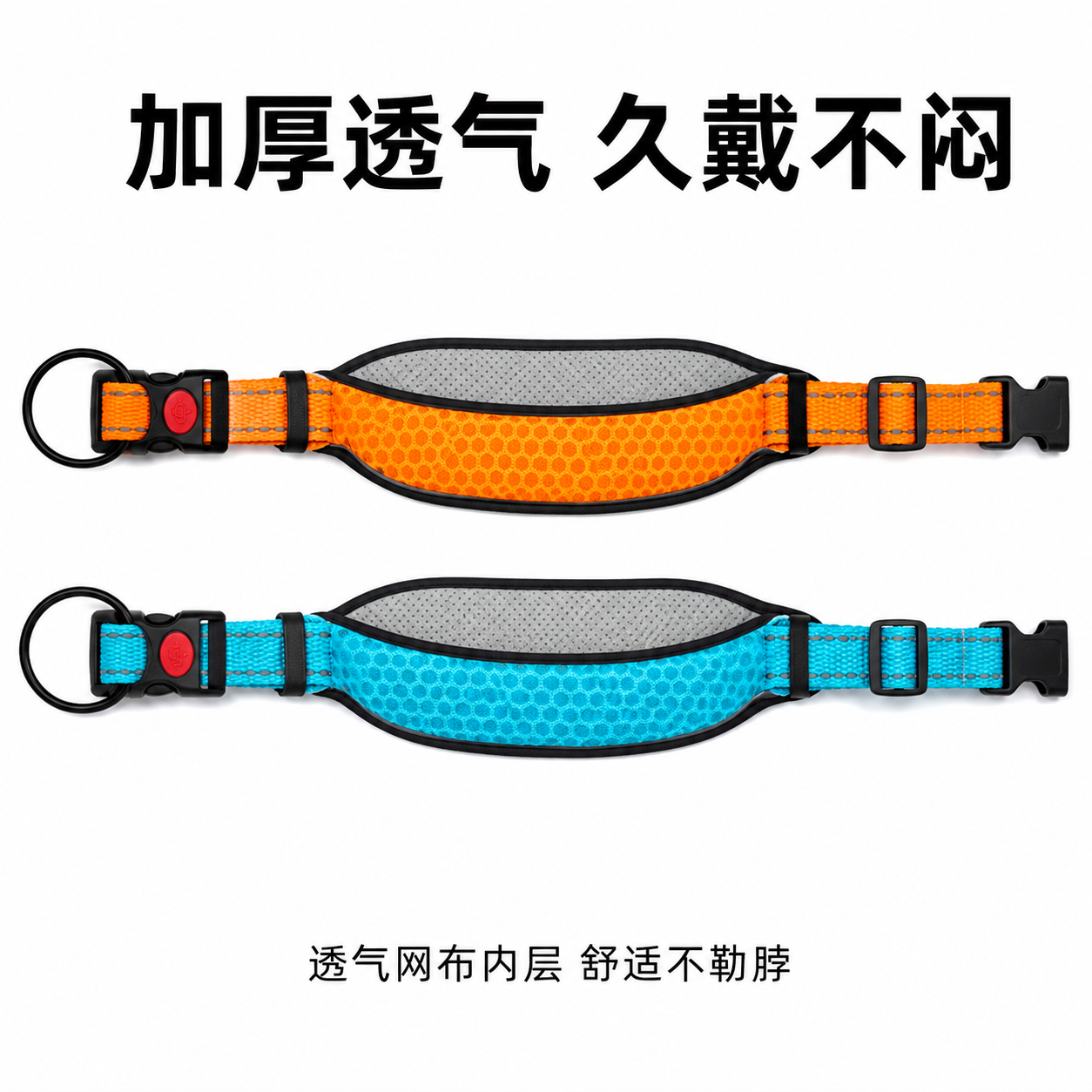 [主图-4] 宠物项圈结构展示图 [氛围风格] 宠物用品电商主… - 图片创意预览