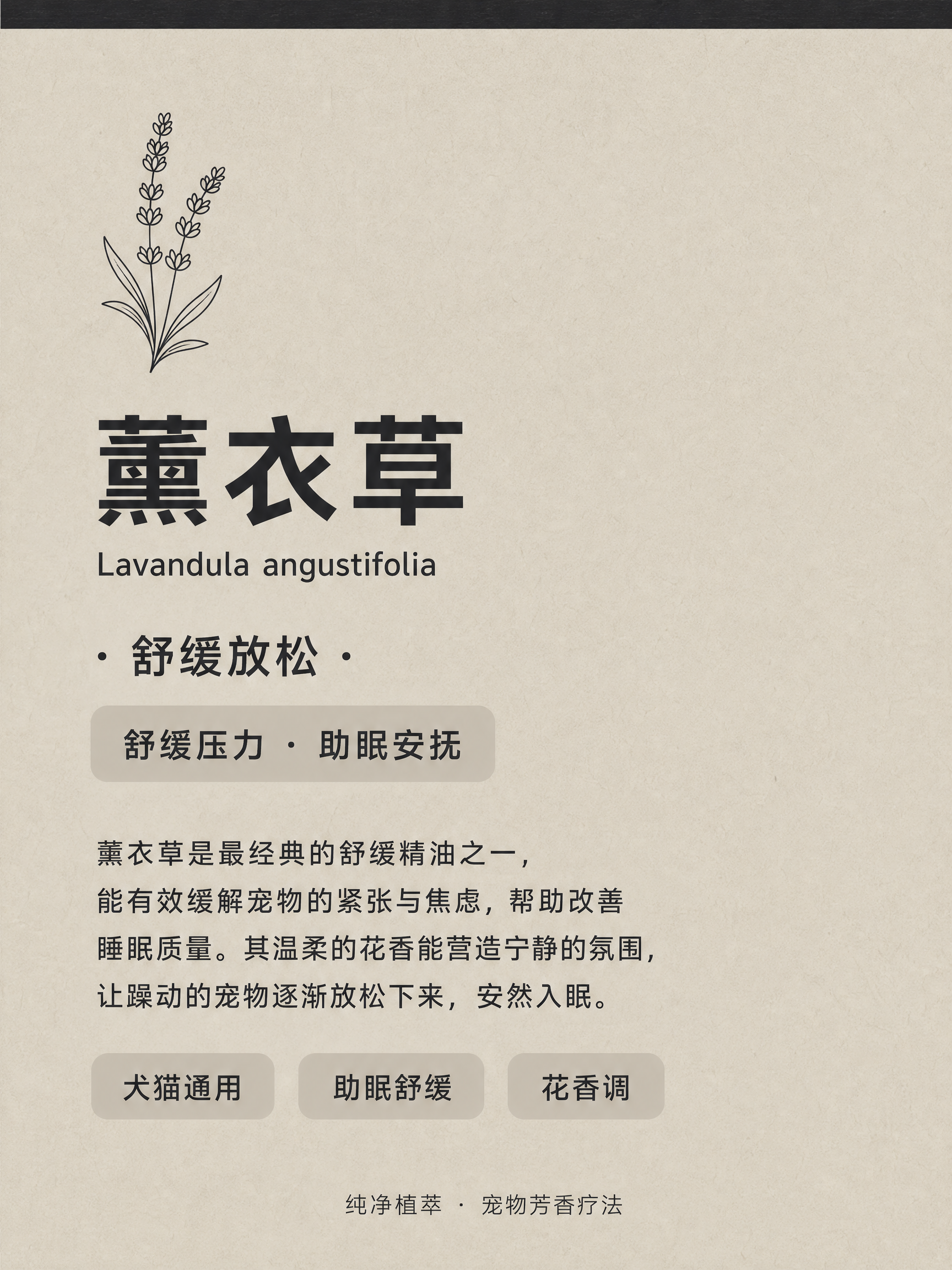 A6竖版产品卡片设计，比例2:3，背景色为#CAC1B2（暖灰… - 图片创意预览
