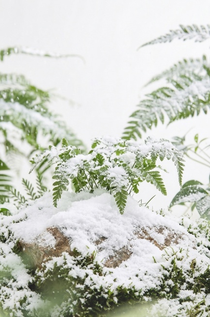 雪多一点预览效果