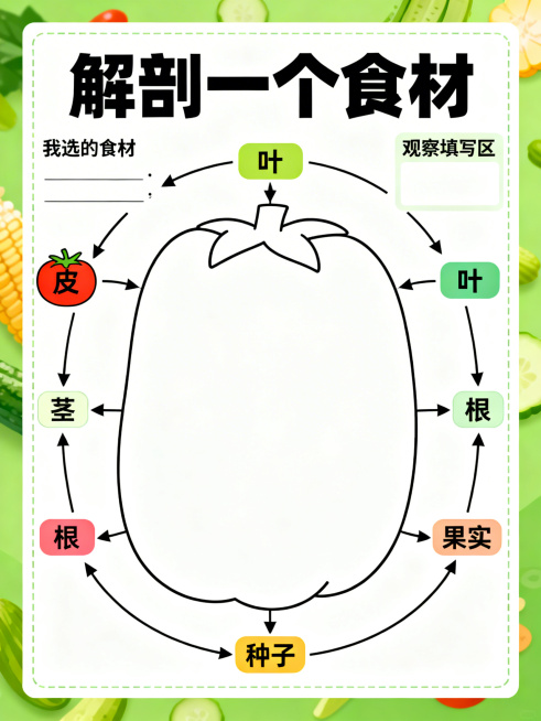 儿童科学观察动手页，标题“解剖一个食材”，版面中央留大面积空白供画图粘贴，周围有结构标签箭头：皮、叶、茎、根、果实、种子，包含我选的食材填空区，观察填写区，简洁友好，适合番茄玉米黄瓜等食材观察，研学手预览效果