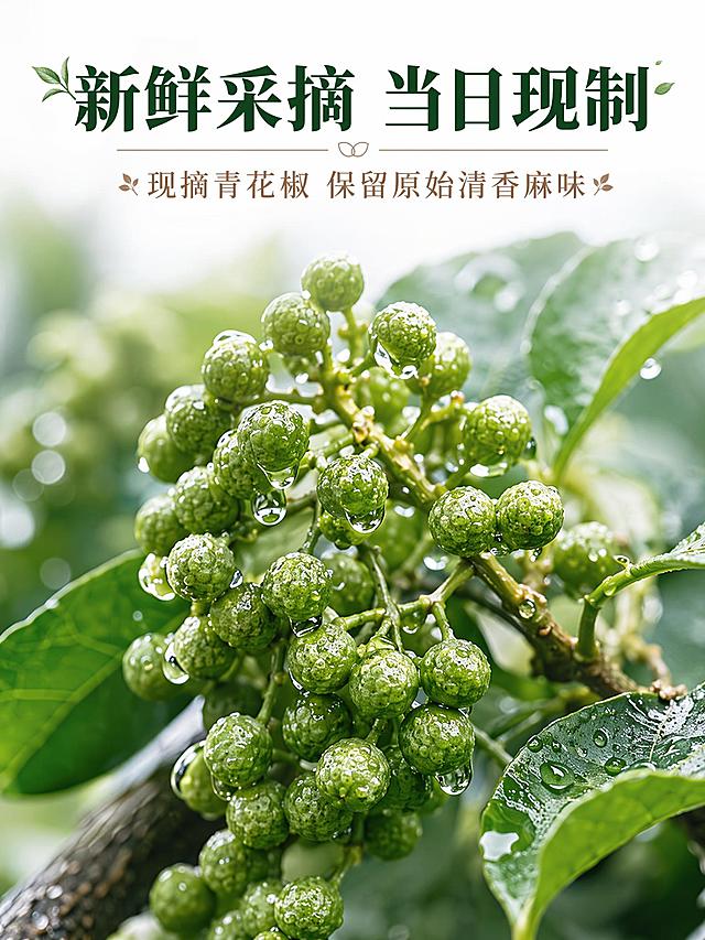 [第3屏] 青花椒原料展示屏，体现新鲜采摘的核心卖点。
[氛围/风格] 清新生鲜风格，微距特写摄影质感，突出青花椒的新鲜饱满。
[元素布局] 整屏主体为枝头挂满的新鲜青花椒特写，颗粒饱满，保留表面自然水珠，展示新鲜状态。标题放置在上侧，青花椒占据超过70%屏幕面积，视觉冲击力强。
[光影质感] 柔和自然光，突出青花椒表皮的质感和光泽，明暗层次分明，整体通透。
[配色色系] 全局底色 #ffffff，主色青绿色，辅助色浅绿和棕色文字，保持整体风格统一。
[视角构图] 中心特写构图，青花椒位于画面视觉中心，从上到下阅读。
[文字版式] 顶部主标题「新鲜采摘 当日现制」，副标题「现摘青花椒 保留原始清香麻味」，字体与配色延续首屏风格，主标题深绿色加粗，副标题浅棕色，文字不遮挡主体花椒特写。
[比例分辨率] 宽990px，高1320px，比例 3:4，4K 分辨率，文字清晰可辨，高清画质。
[负向提示词] 使用红花椒，文字错乱，文字过小，模糊，变形，水印，绝对违禁用语