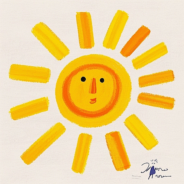 太阳，光芒，白色的海鸥