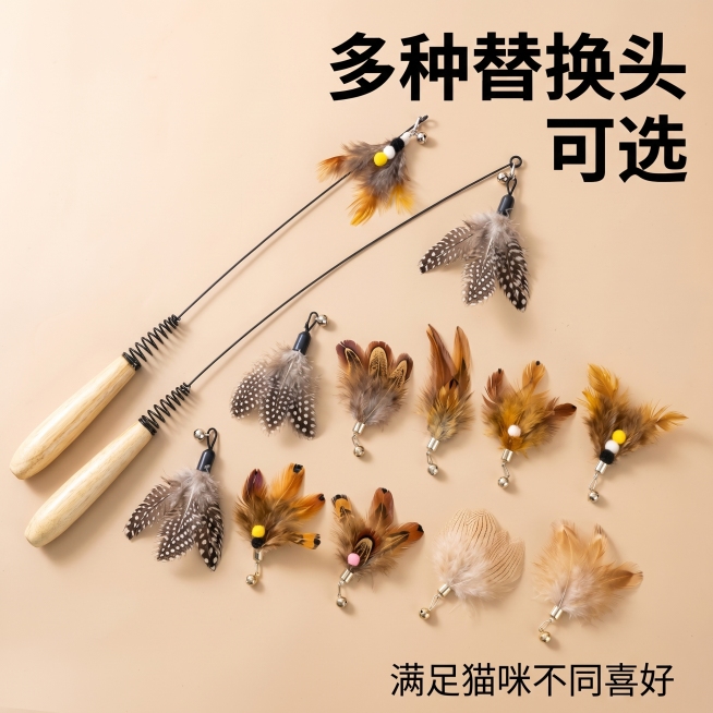 [主图 5] 多款式替换头展示
[氛围/风格] 整齐展示，商业摄影质感，光线柔和通透，产品清晰真实，画面干净高级
[元素/光影] 整齐排列展示多款不同羽毛替换头，逗猫棒主体放置在一侧，多款替换头在下方预览效果
