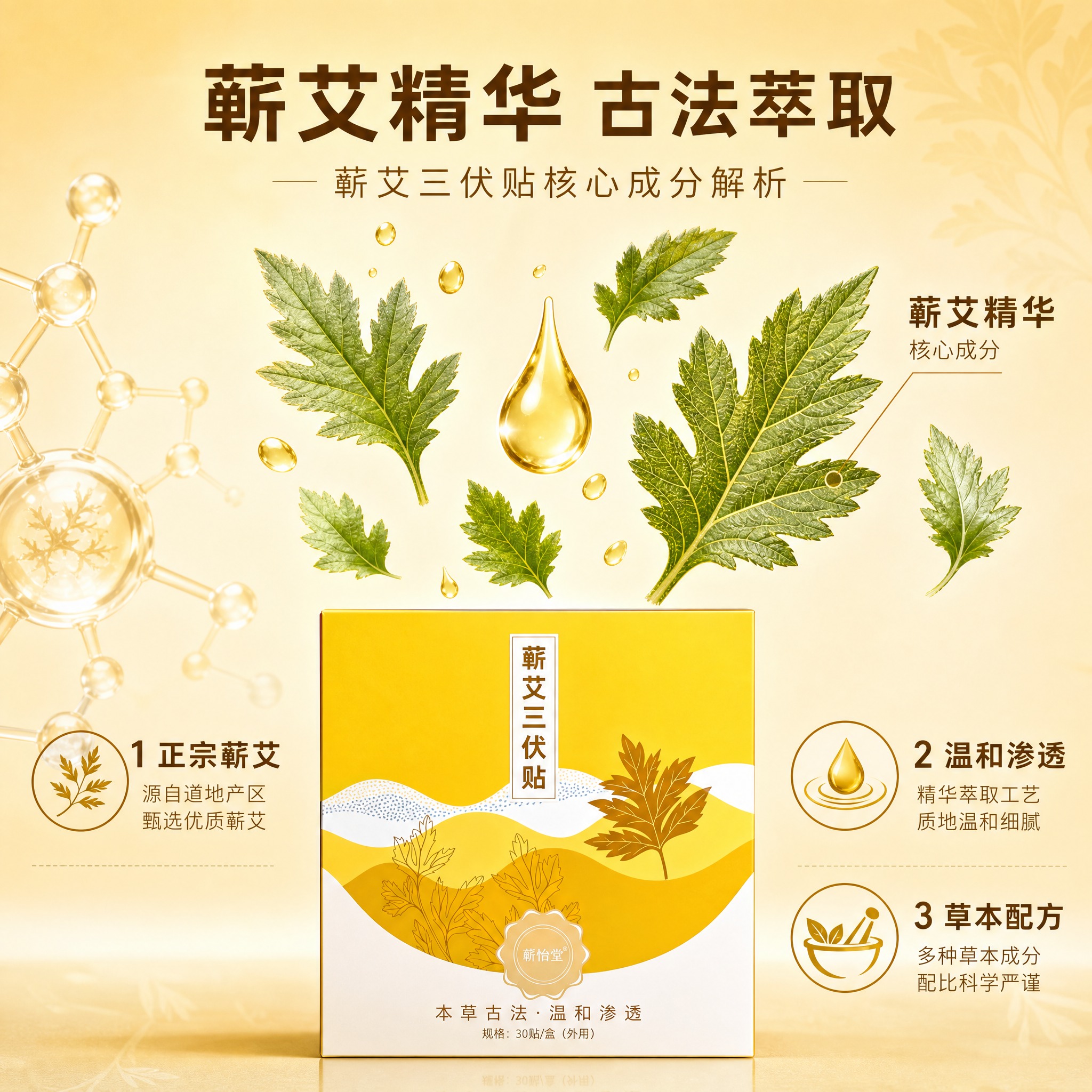 [主图-2] 蕲艾三伏贴核心成分解析 草本精华展示 [统一基调… - 图片创意预览