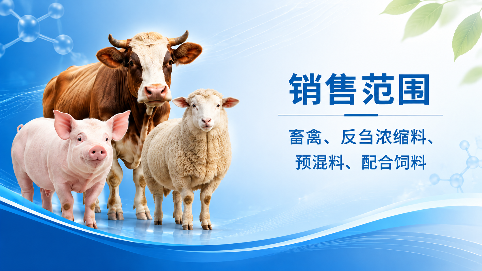 修改这张名片背面的背景，使其与正面风格统一协调。背景采用渐变蓝… - 图片创意预览