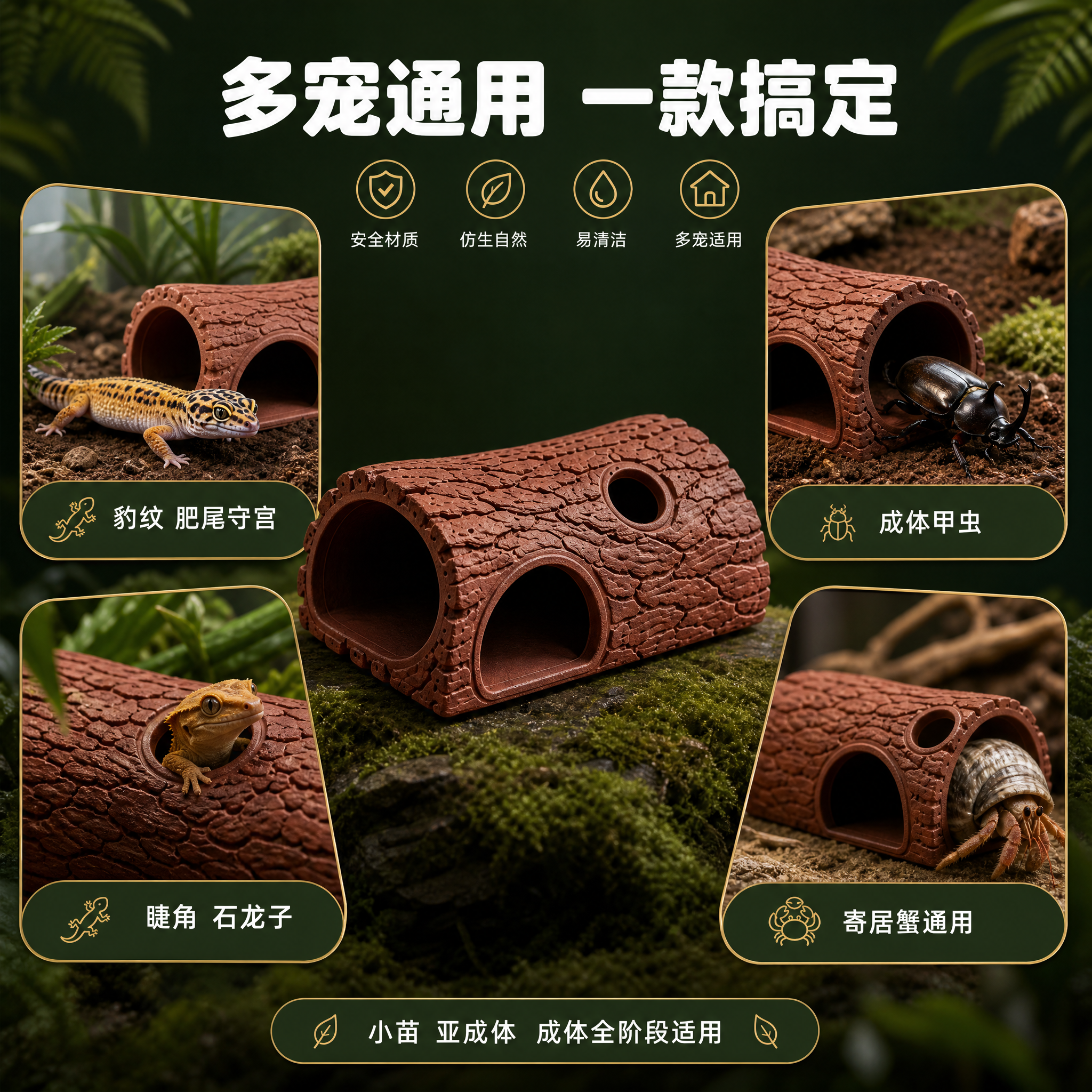 [主图-4] 适用宠物场景图，任务是展示产品适用于多种爬宠，解… - 图片创意预览