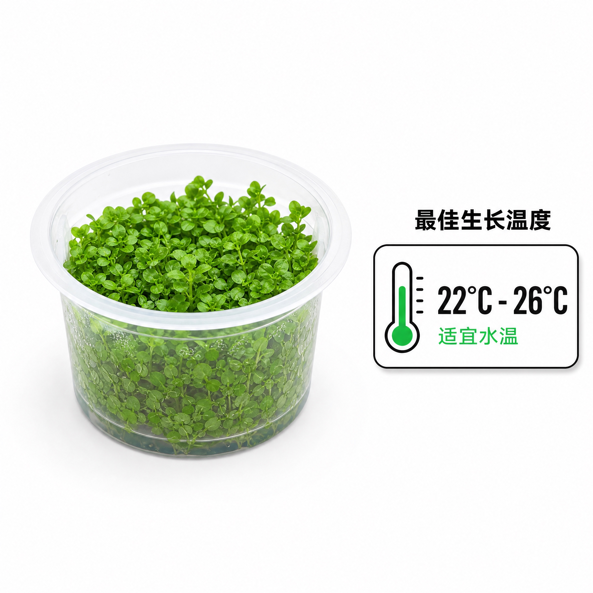 [主图-4] 适宜温度参数展示，极简温度徽章设计。 [统一基调… - 图片创意预览