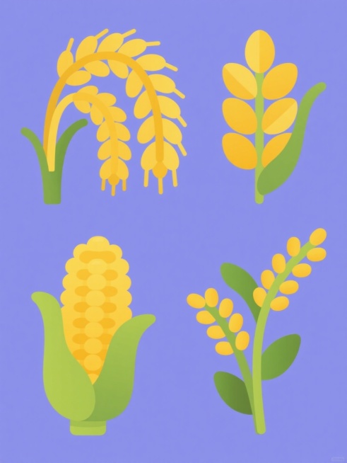 一套四个不同谷物元素的系列插画，保持与原图一致的扁平卡通风格，明亮的色彩，简洁的线条和渐变填充。每个元素独立呈现，分别是饱满的金黄色稻穗、下垂的金黄色小麦麦穗、颗粒圆润的金黄色玉米棒子和饱满的金黄色高粱穗，每个谷物都有绿色的茎和叶子，所有元素规整排布在纯色背景上，构图均衡，视觉统一。预览效果