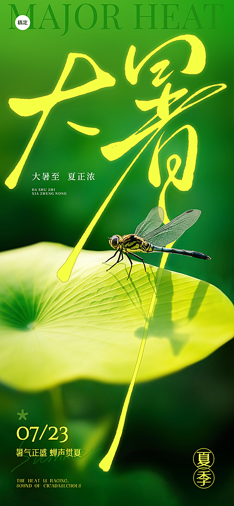 大暑节气实景感荷叶蜻蜓祝福手机海报