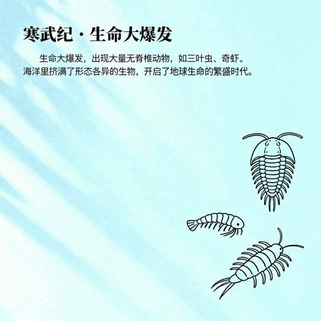 预览效果