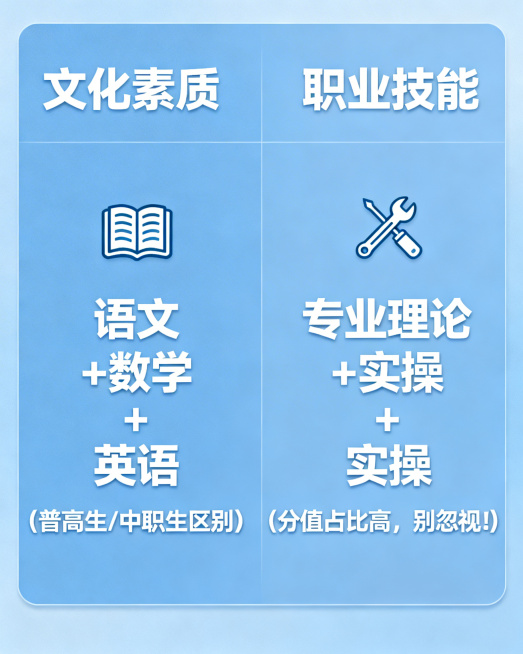 浅蓝色背景的考试内容拆解图，左右分栏布局，左边【文化素质】：语文 + 数学 + 英语 (普高生/中职生区别)，搭配书本图标；右边【职业技能】：专业理论 + 实操 (分值占比高，别忽视！)，搭配工具图标预览效果