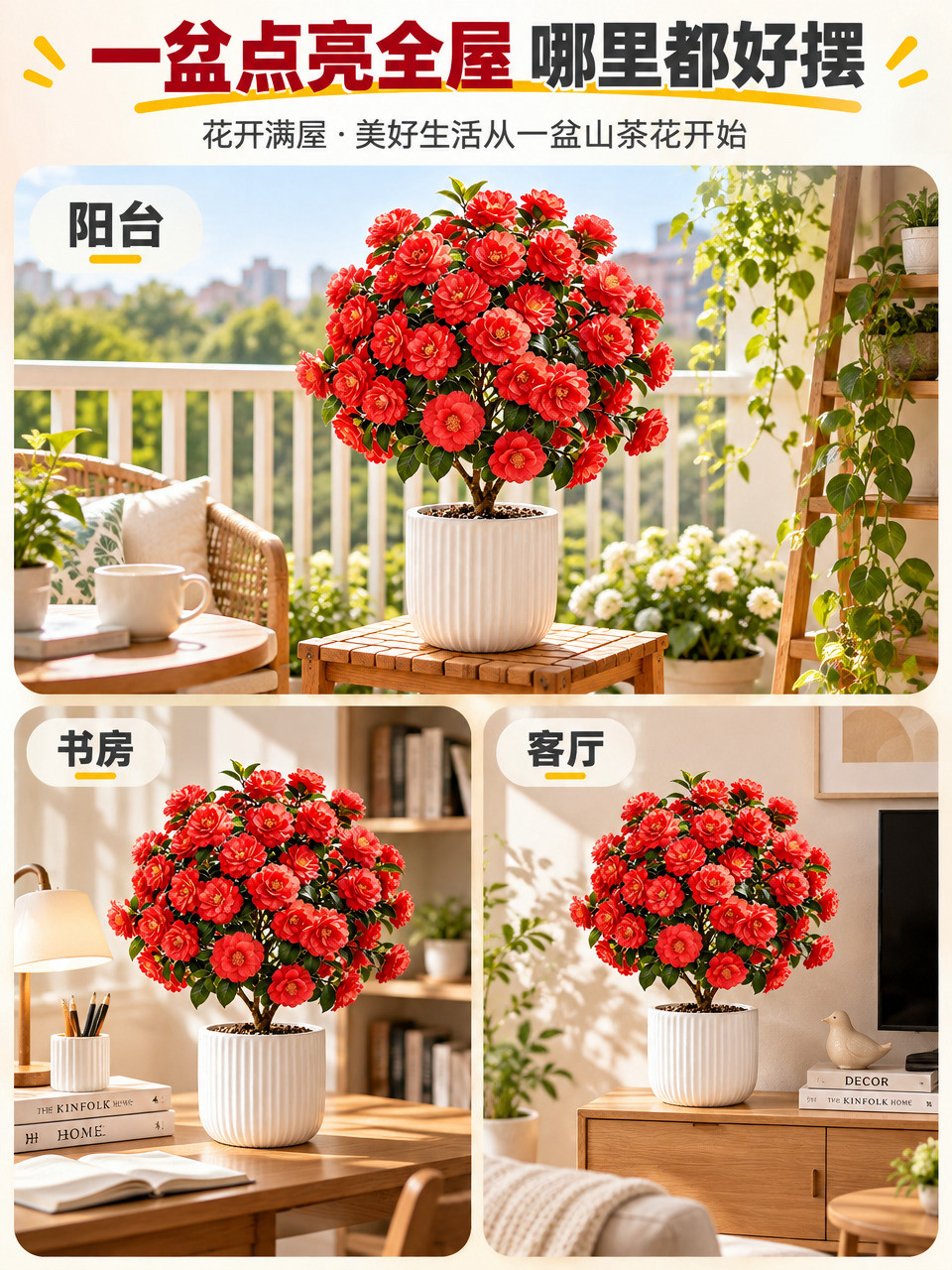 [主图-3] 风格搭配与陈列关系，展示山茶花盆栽在不同家居场景… - 图片创意预览