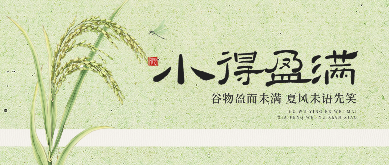小满节气祝福通用绿色清新感公众号首图预览效果
