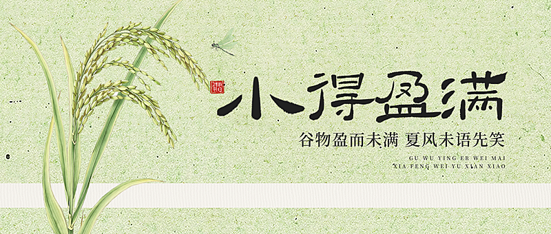 小满节气祝福通用绿色清新感公众号首图