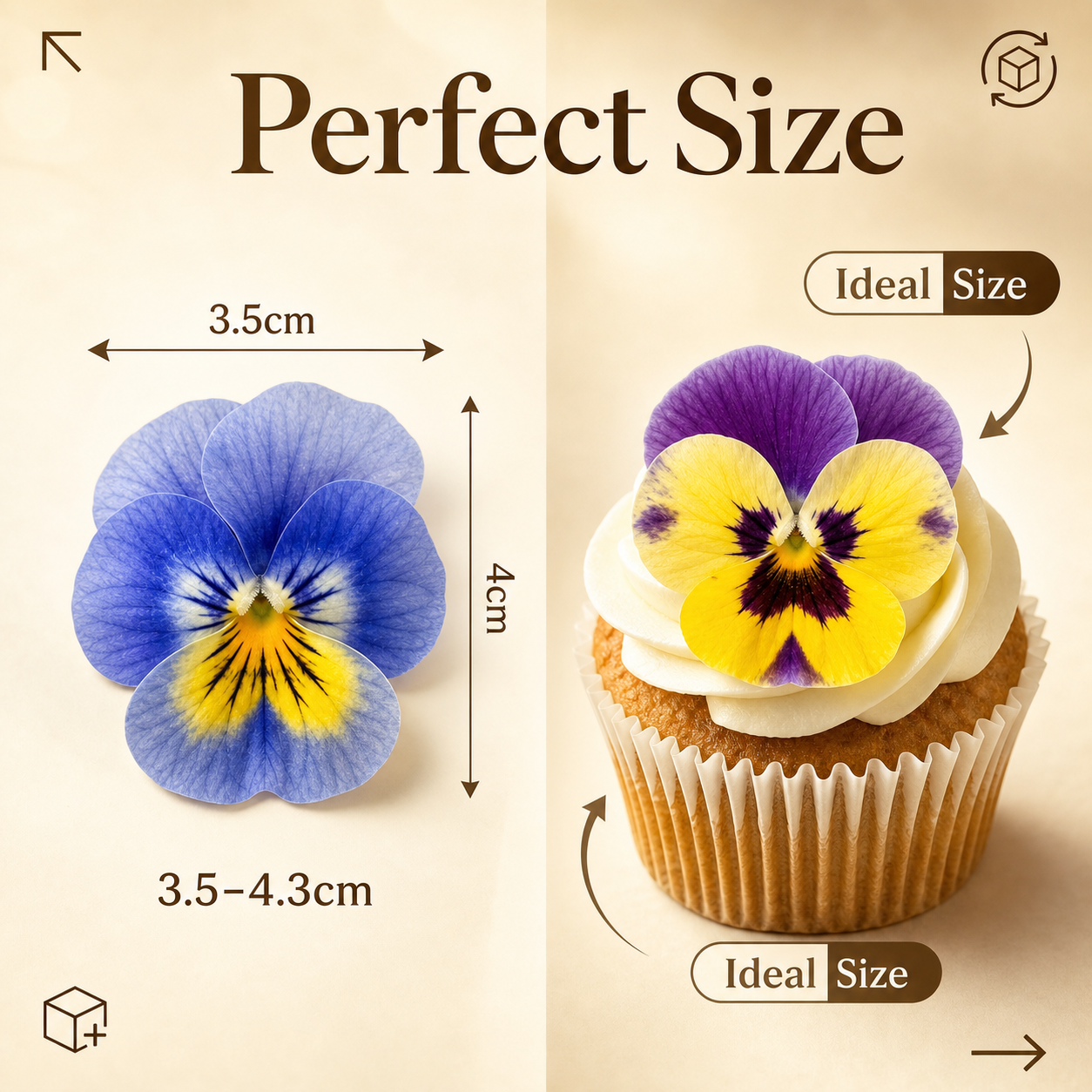 Upgrade the visual style of thi… - 图片创意预览