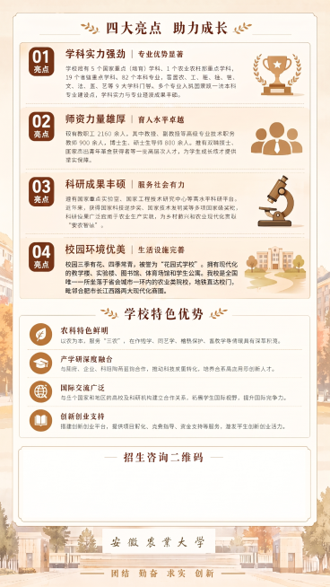 预览效果