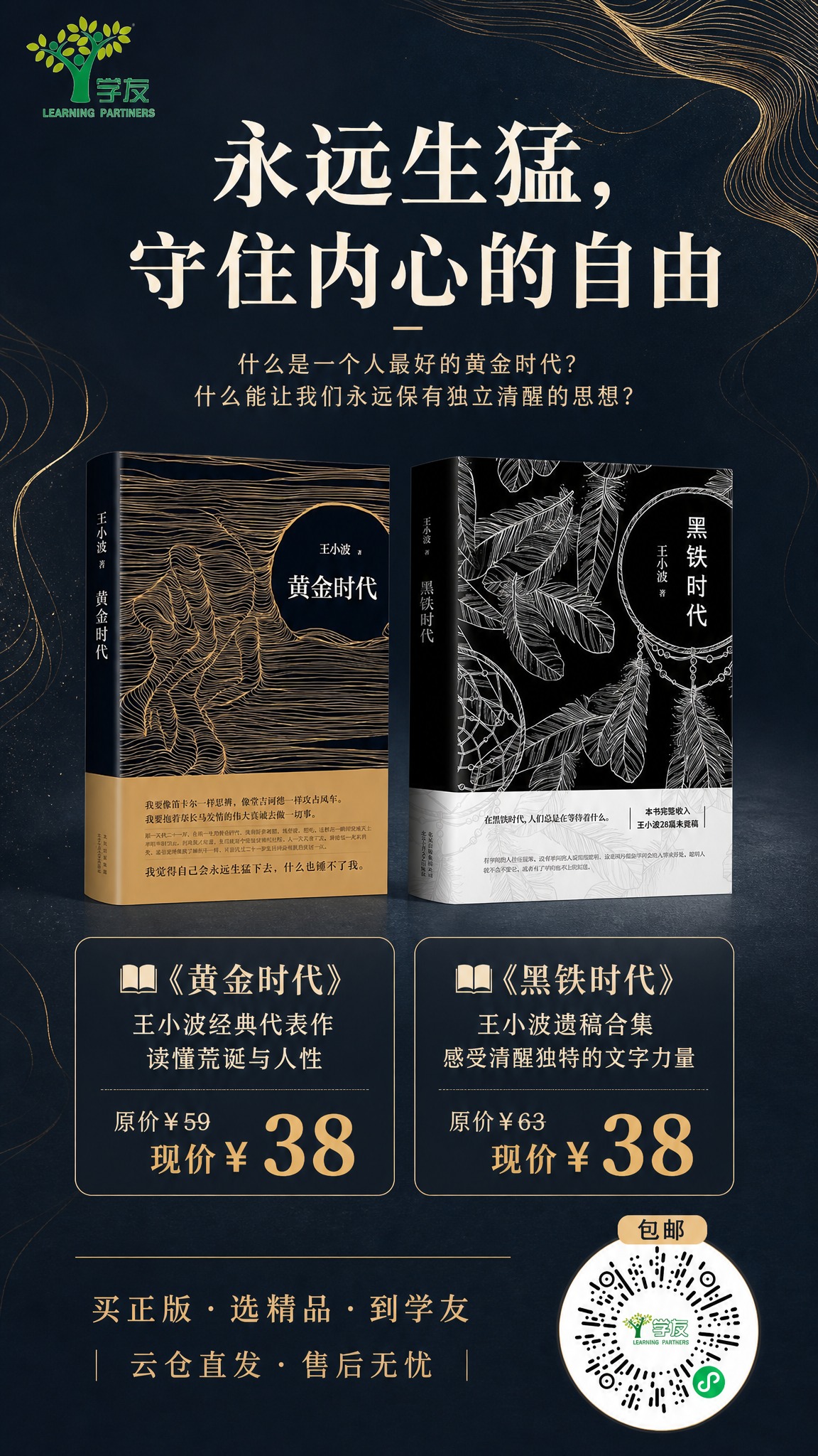 一张9:16手机全屏竖版文学图书海报，深蓝灰低饱和高级感色调，… - 图片创意预览