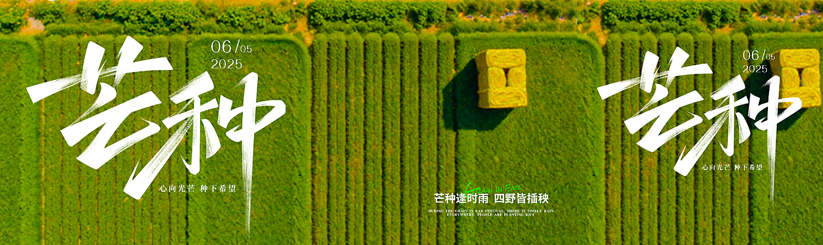 芒种清新感节气祝福微信公众号双封面
