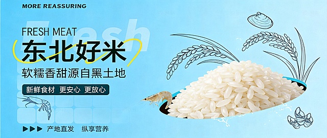 根据参考图的版式和风格制作一张东北大米海报，浅蓝色背景，主标题大字"东北好米"，副标题"软糯香甜源自黑土地"，文案"新鲜食材 更安心 更放心"，底部小字"产地直发 纵享营养"，搭配东北大米实物图和简约线稿稻穗装饰，整体风格清新明快，生鲜电商banner风格