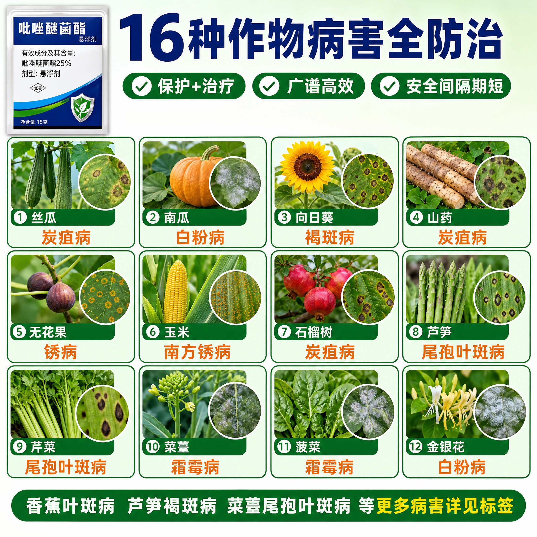 [主图-2] 吡唑醚菌酯适用作物与防治对象全览图，完整展示16… - 图片创意预览