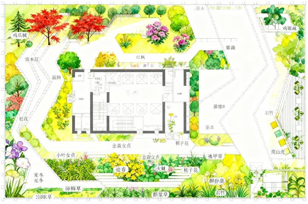 结合考核方案中耐旱、耐瘠薄、浅根系、抗风的乡土植物要求，以及信阳市（北亚热带与暖温带过渡区）的气候和屋顶80cm覆土条件，适宜种植的植物可按乔、灌、地被分层推荐，具体如下：
 
一、乔木（浅根性、体量预览效果