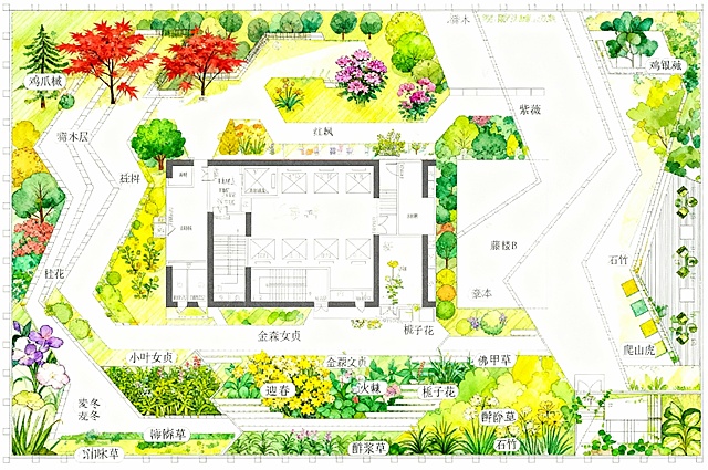 结合考核方案中耐旱、耐瘠薄、浅根系、抗风的乡土植物要求，以及信阳市（北亚热带与暖温带过渡区）的气候和屋顶80cm覆土条件，适宜种植的植物可按乔、灌、地被分层推荐，具体如下：
 
一、乔木（浅根性、体量适中，抗风）
 
1. 鸡爪槭：浅根系，耐瘠薄，秋季叶色美观，季相变化明显，体量适合屋顶空间。
2. 红枫：抗风性较好，浅根，景观性强，适配现代简约风格的屋顶造景。
3. 紫薇：耐旱、耐瘠薄，花期长，浅根性，抗风能力佳，是乡土观花乔木。
4. 桂花：信阳乡土树种，浅根，耐旱，四季常绿且有花香，适配休憩空间氛围。
 
二、灌木（耐旱、耐贫瘠，易养护）
 
1. 小叶女贞：耐旱、耐瘠薄，抗风，易修剪，可做绿篱或组团种植。
2. 金森女贞：彩叶灌木，耐旱性强，浅根，适配屋顶景观色彩搭配。
3. 迎春：浅根，耐旱，早春开花，乡土藤灌类植物，可作垂挂或丛植。
4. 火棘：耐瘠薄、抗风，秋季挂果，兼具景观与生态性，是乡土灌木。
5. 栀子花：信阳乡土品种，耐旱，花香浓郁，适配休憩区景观营造。
 
三、地被植物（耐旱、浅根，覆盖性好）
 
1. 佛甲草：耐旱性极强，浅根，耐瘠薄，是屋顶绿化经典地被，养护成本低。
2. 麦冬：阔叶麦冬/细叶麦冬均适配，耐旱、耐贫瘠，四季常绿，易成坪。
3. 沿阶草：乡土品种，浅根，耐旱，可作边缘或林下覆盖植物。
4. 酢浆草：红花酢浆草为信阳乡土，耐旱，花期长，覆盖性好。
5. 石竹：耐瘠薄、抗风，花色丰富，适配屋顶开放式交流区的花境营造。
 
四、藤本（可选，用于垂直绿化/软质遮挡）
 
1. 爬山虎：浅根，耐旱、抗风，攀援能力强，可作屋顶边缘垂直绿化。
2. 金银花：乡土藤本，耐旱、耐瘠薄，有花香，适配半私密休憩区的遮荫造景。
 
 使用以上植物在斜线区域进行植物组团的绘图设计，以手抄报的形式成图