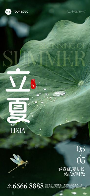 立夏实景感荷叶水珠近景模糊背景全屏竖版海报预览效果