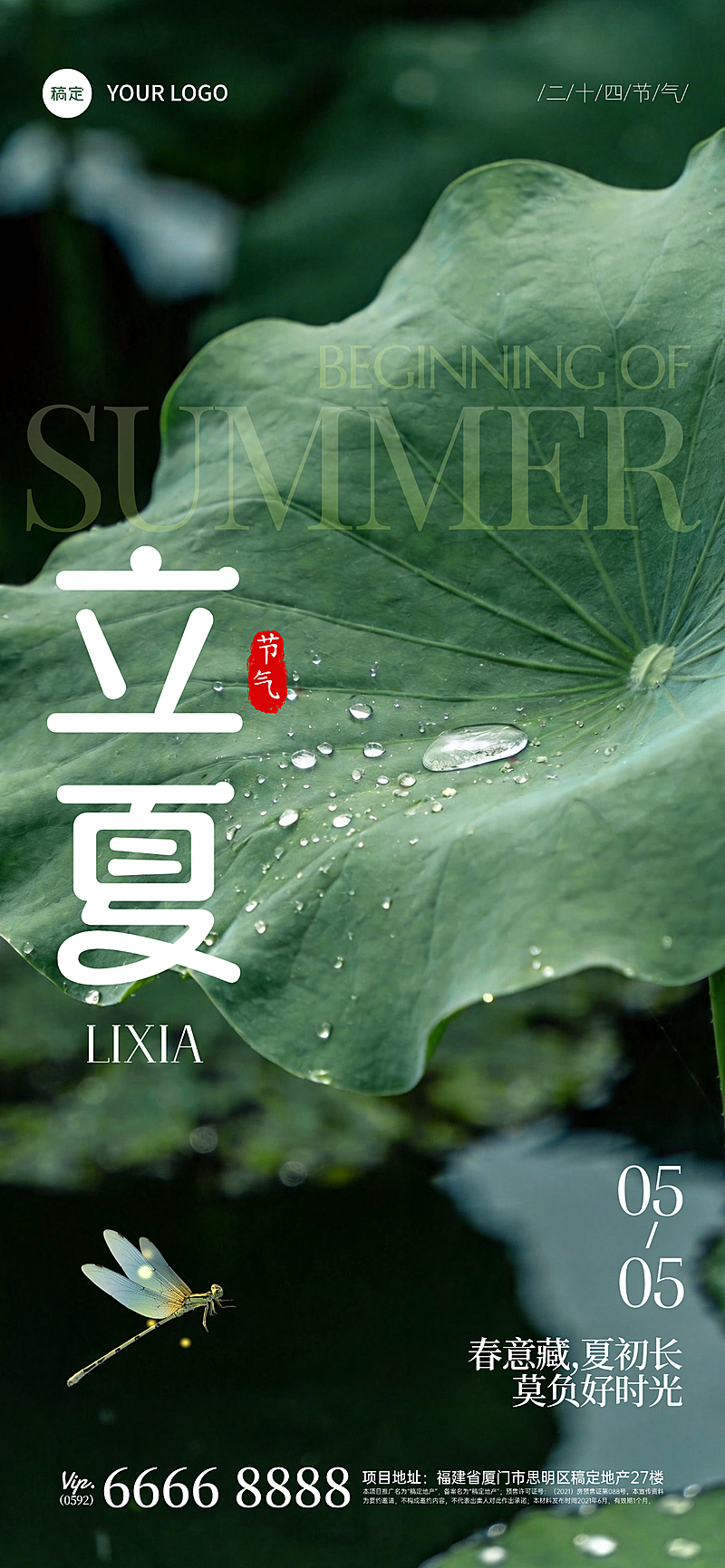 立夏实景感荷叶水珠近景模糊背景全屏竖版海报