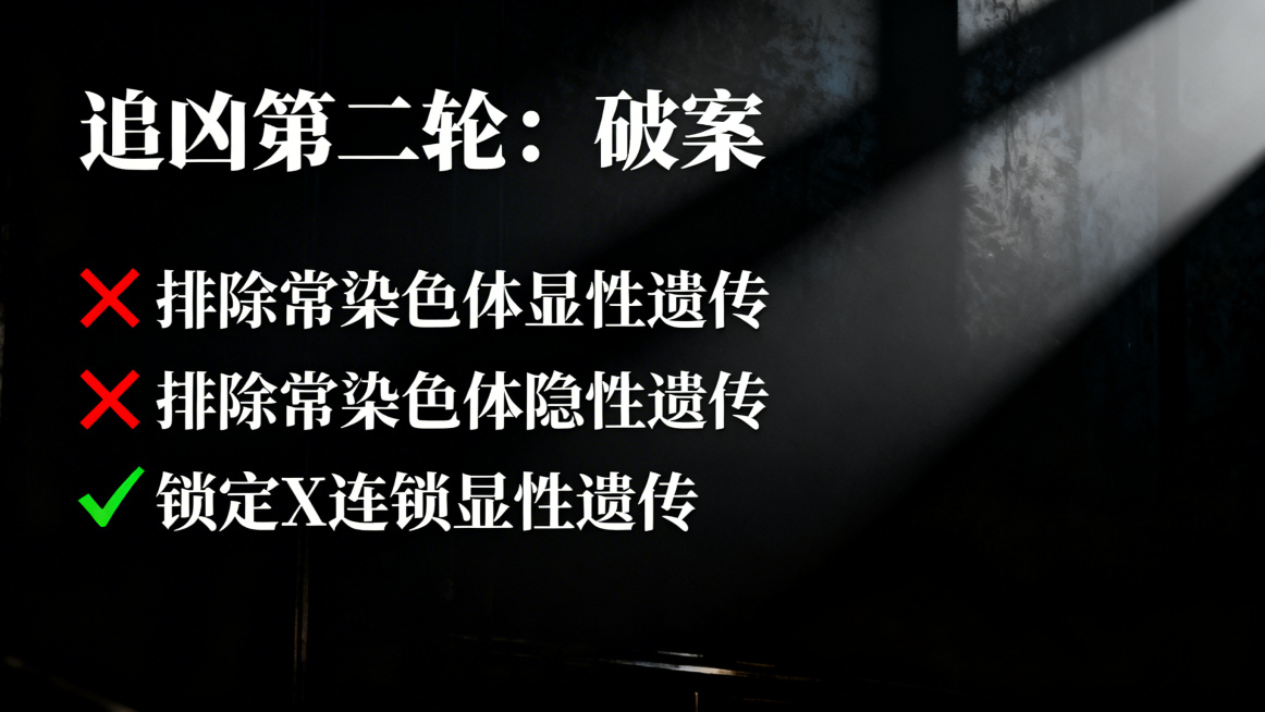 推理PPT第二轮推理页，标题为“追凶第二轮：破案”，内容：排除常染色体显性和隐性，最终锁定X连锁显性遗传，标注红叉和绿勾，悬疑风格，衬线字体，排版清晰预览效果