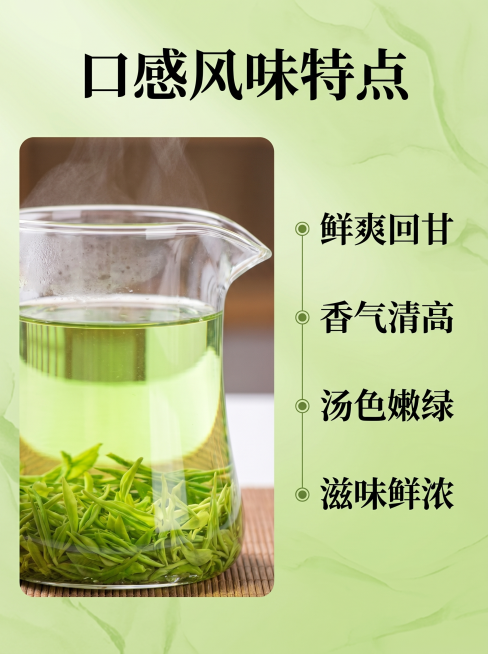 [信阳毛尖详情页第十二屏 核心卖点二 口感香气] 竖版3:4比例，左侧展示茶汤特写，右侧文字列出核心特点：鲜爽回甘 香气清高 汤色嫩绿 滋味鲜浓，上方标题口感风味特点，背景浅绿茶调清新自然，干净清晰，预览效果