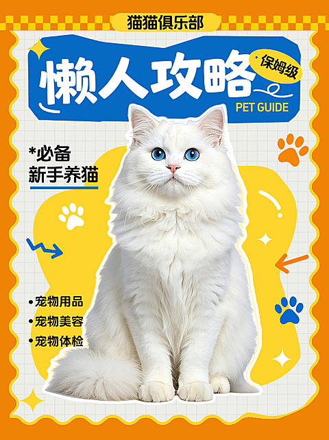 宠物猫狗养育注意事项卡通小红书封面