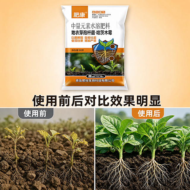 [主图-4] 使用前后效果对比图，突出产品价值。
[氛围风格] 真实直观对比，农业效果展示风格；
[画质] 高清摄影，对比清晰，细节真实。
[元素] 左侧展示使用前：土壤板结结块，作物植株矮小、叶片发黄、根系细弱；右侧展示使用本产品后：土壤疏松肥沃，作物根系发达、植株健壮、叶片浓绿。产品包装袋放置在画面顶部居中位置，保持产品外观与原图一致，不遮挡对比内容。对比分界线清晰，标注明确，让差异一目了然。
[光影] 左右两侧光线一致均匀，保证对比公平，明暗适中，细节清晰可见。
[配色] 左侧偏暗黄调体现病态，右侧偏鲜绿色调体现健康，产品包装袋保持原有配色，顶部浅橙色背景衬托产品。
[视角构图] 左右平分对比构图，顶部产品，下方对比，主体突出，对比清晰，结构合理。
[文字版式] 顶部产品下方，主标题大字「使用前后对比效果明显」，左右对比区分别标注「使用前」「使用后」，文字置于区域顶部，清晰不遮挡作物主体。
[比例分辨率] 1:1 比例，4k 分辨率；文字清晰可辨，画面超高清。
[负向提示词] 对比不清晰，文字错乱，产品变形，色彩失真，遮挡主体