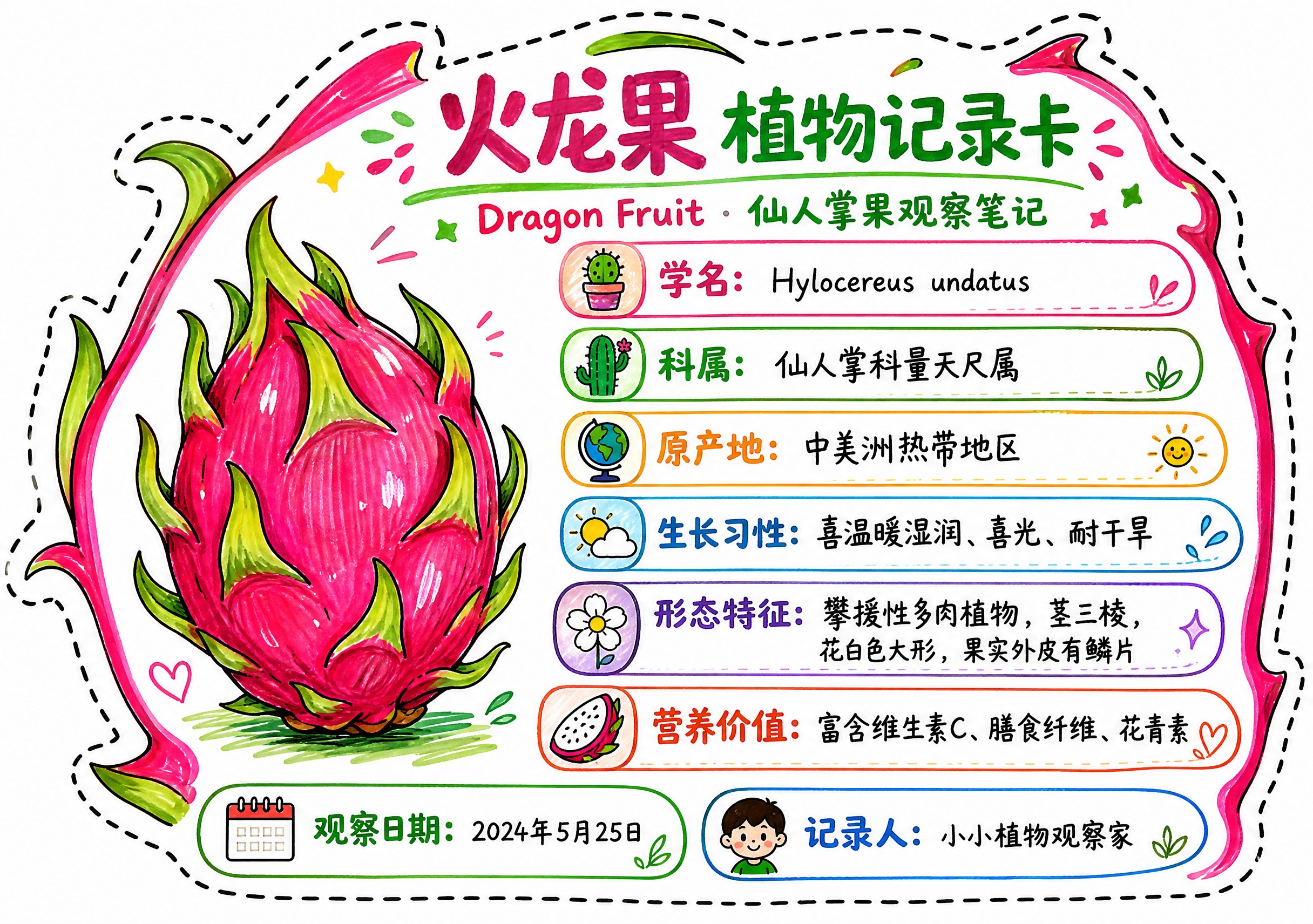 一张火龙果异形植物记录卡，整体为火龙果轮廓造型，沿火龙果外轮廓… - 图片创意预览