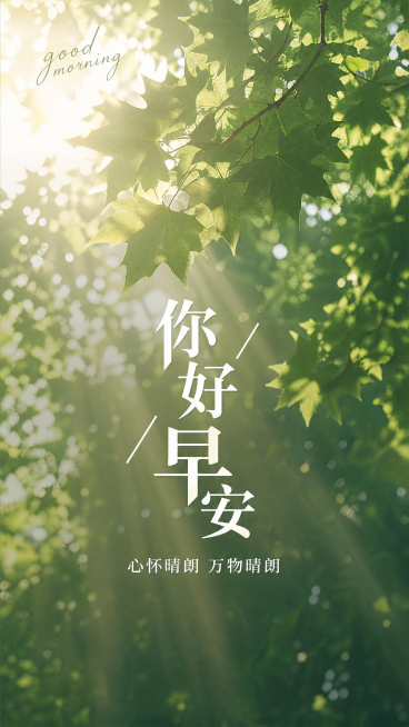 自然清新风格早安日签海报，差异化简约排版，背景为仰视视角的梧桐树叶间隙漏出晨光，氛围感十足。主标题“你好早安”居中采用错落排版，副标题“心怀晴朗 万物晴朗”在主标题下方，搭配英文装饰文案“good m预览效果