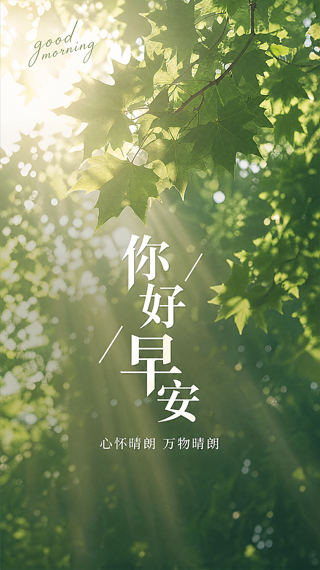 自然清新风格早安日签海报，差异化简约排版，背景为仰视视角的梧桐树叶间隙漏出晨光，氛围感十足。主标题“你好早安”居中采用错落排版，副标题“心怀晴朗 万物晴朗”在主标题下方，搭配英文装饰文案“good morning”在左上角，整体有差异化创意，文字清晰，版式精美，9:16竖版。