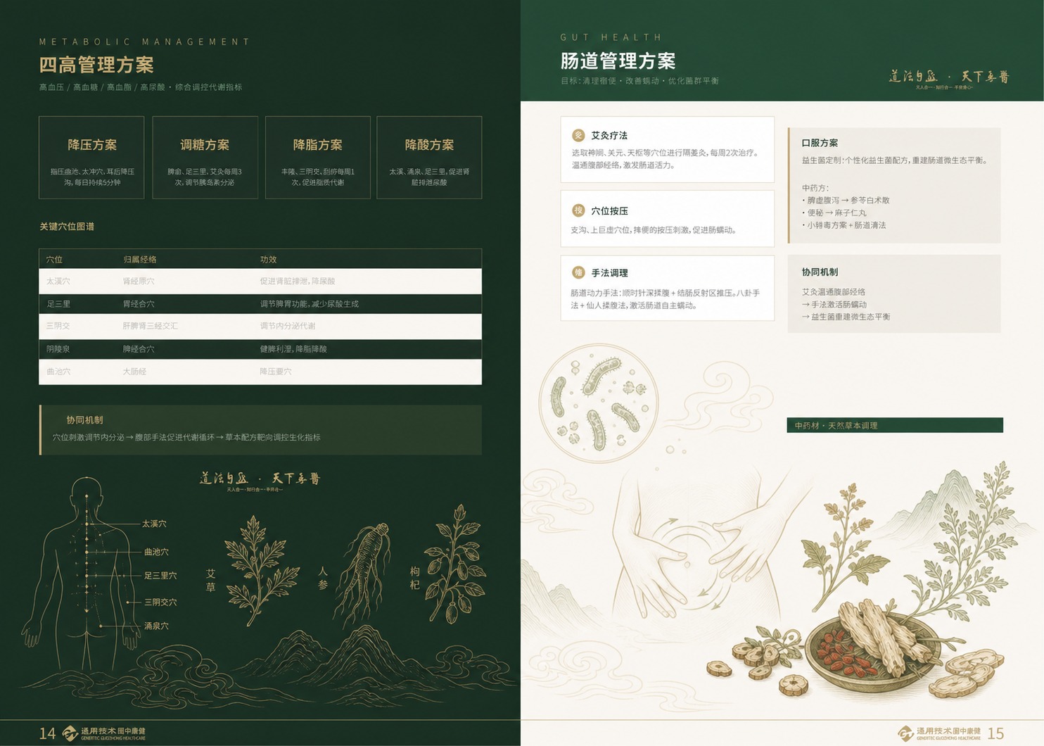 基于这张中医健康管理方案的双页排版图，保持所有文字内容、文字位… - 图片创意预览