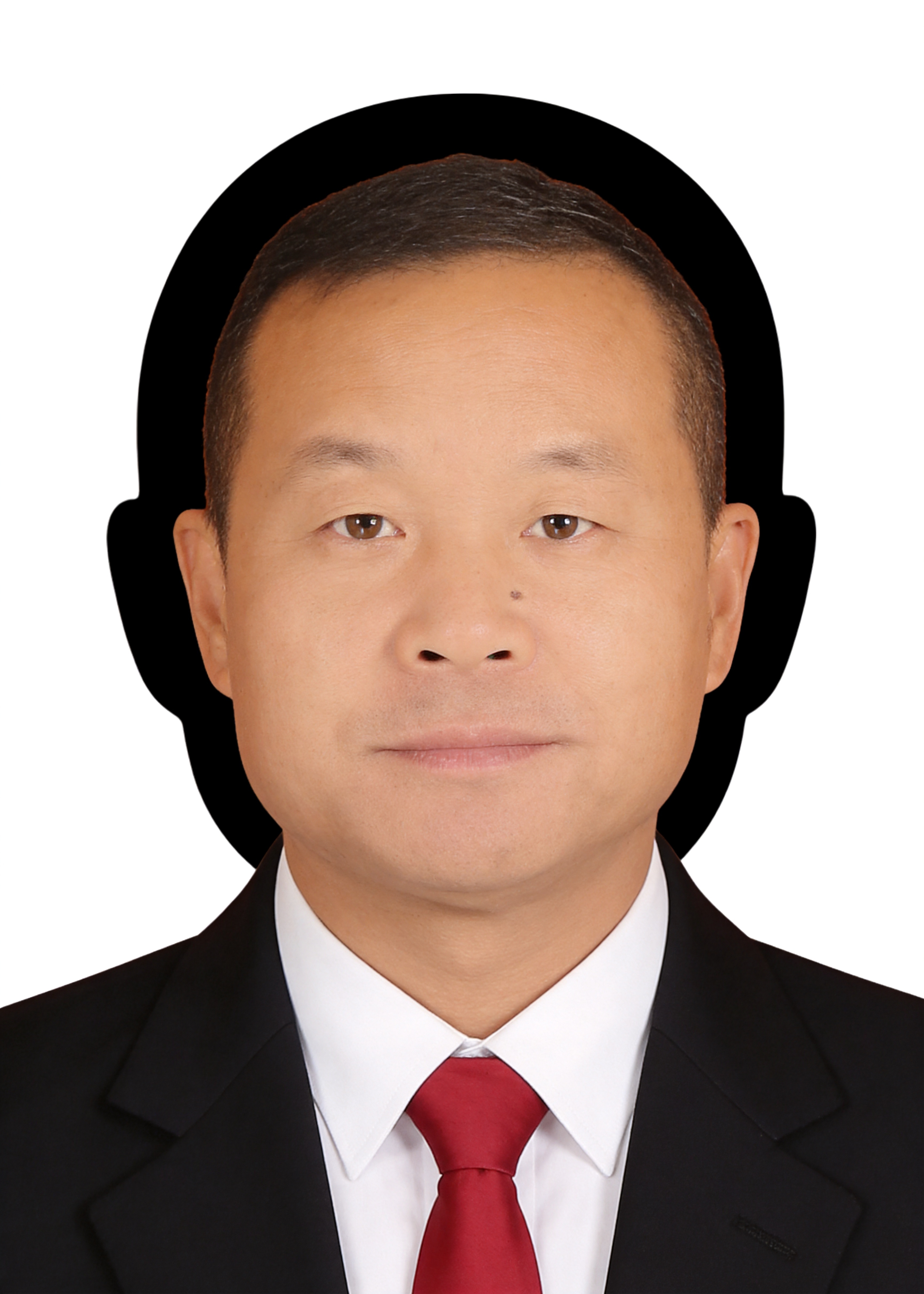 保留第一张图中人物发型、脸型、年龄特征生成标准样式纯正面证件照… - 图片创意预览