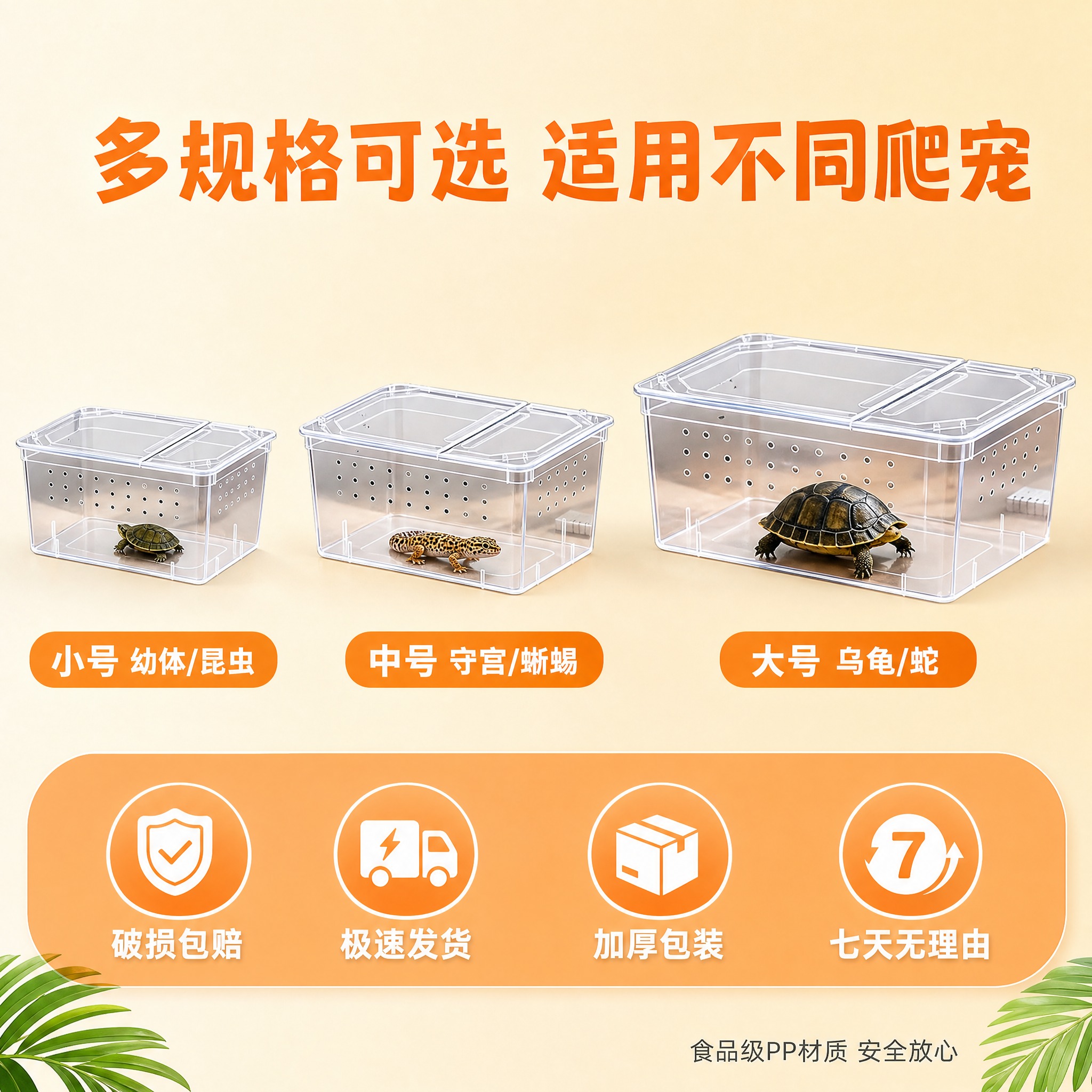 [主图-5] 爬宠饲养盒-多规格展示与服务承诺。 [氛围风格]… - 图片创意预览