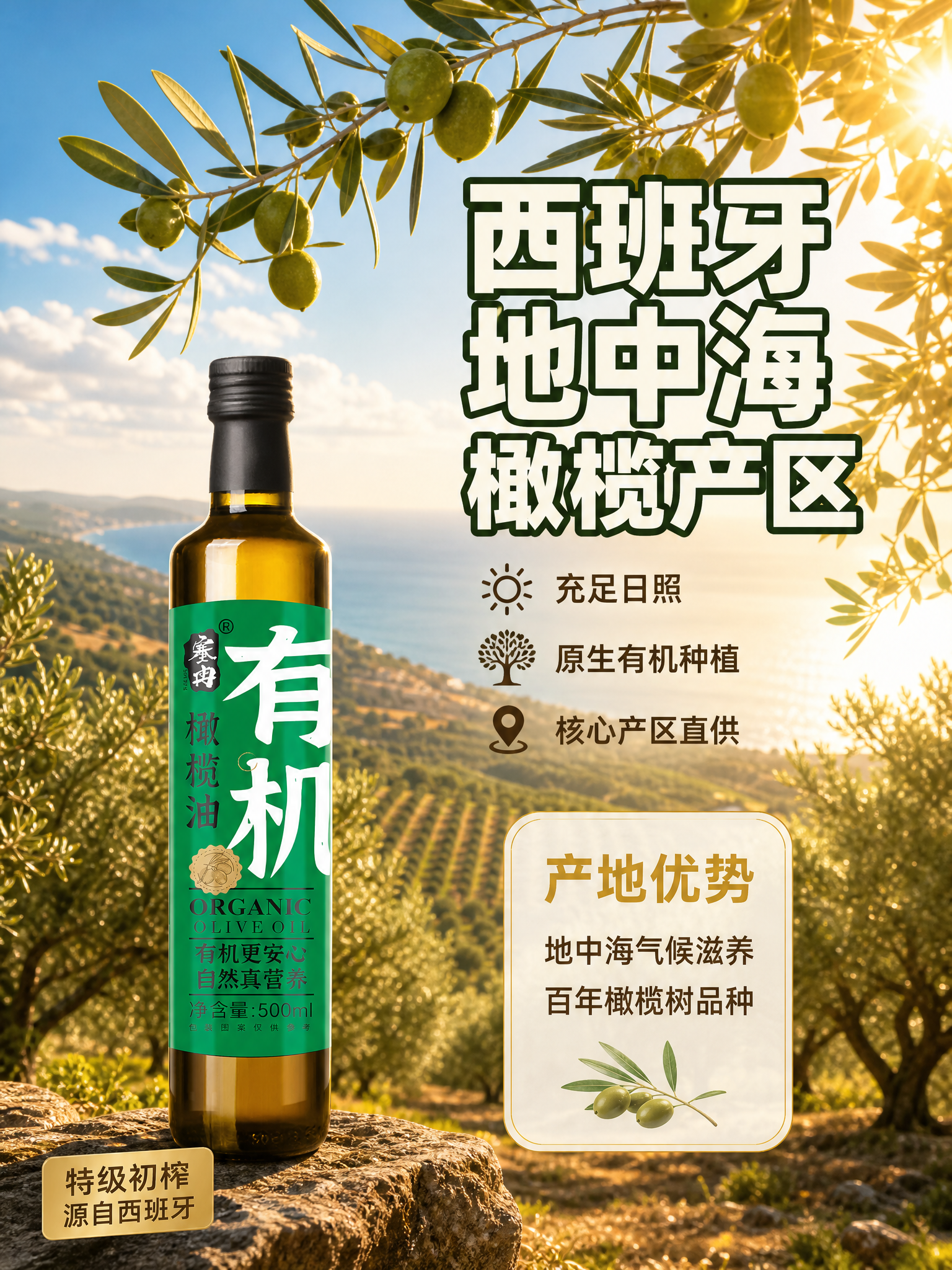 [主图-2] 塞冉有机橄榄油 产地溯源主图 展示西班牙地中海橄… - 图片创意预览
