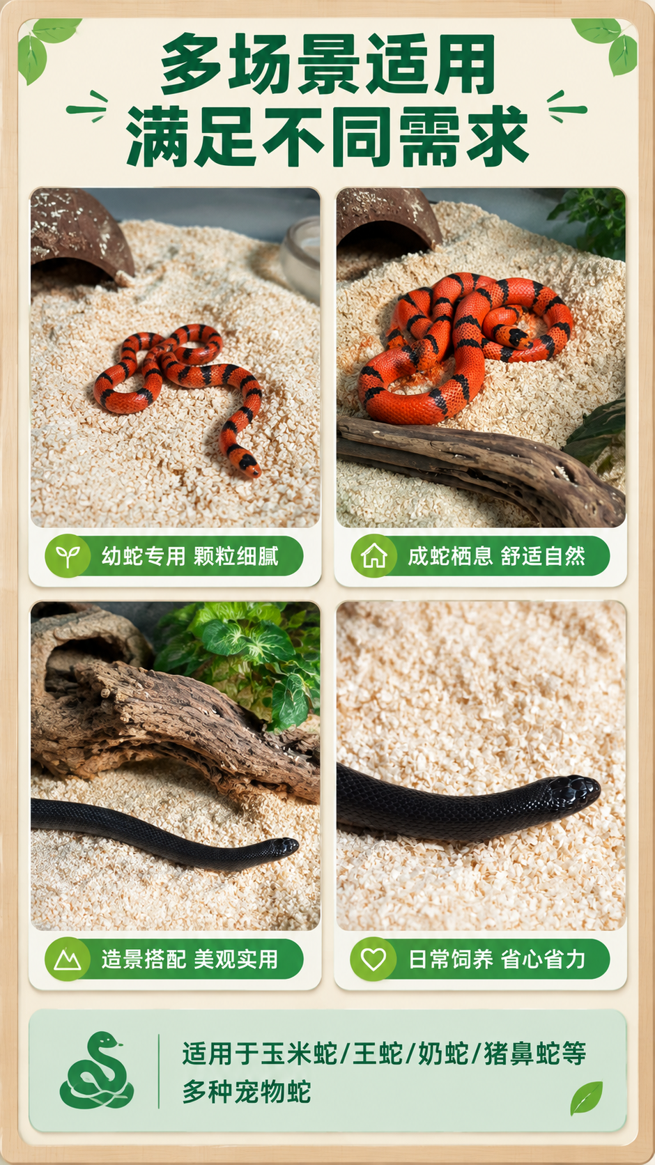 [商品] 使用【图3】【图4】蛇类使用场景图；商品处理：保留蛇… - 图片创意预览