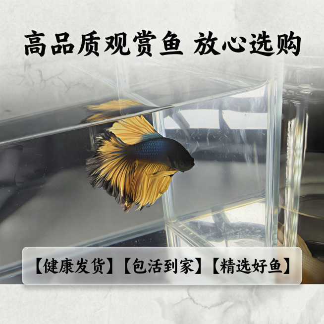 确认预览效果