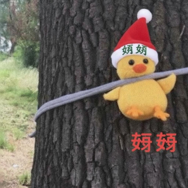 妍妍刻在圣诞帽上预览效果