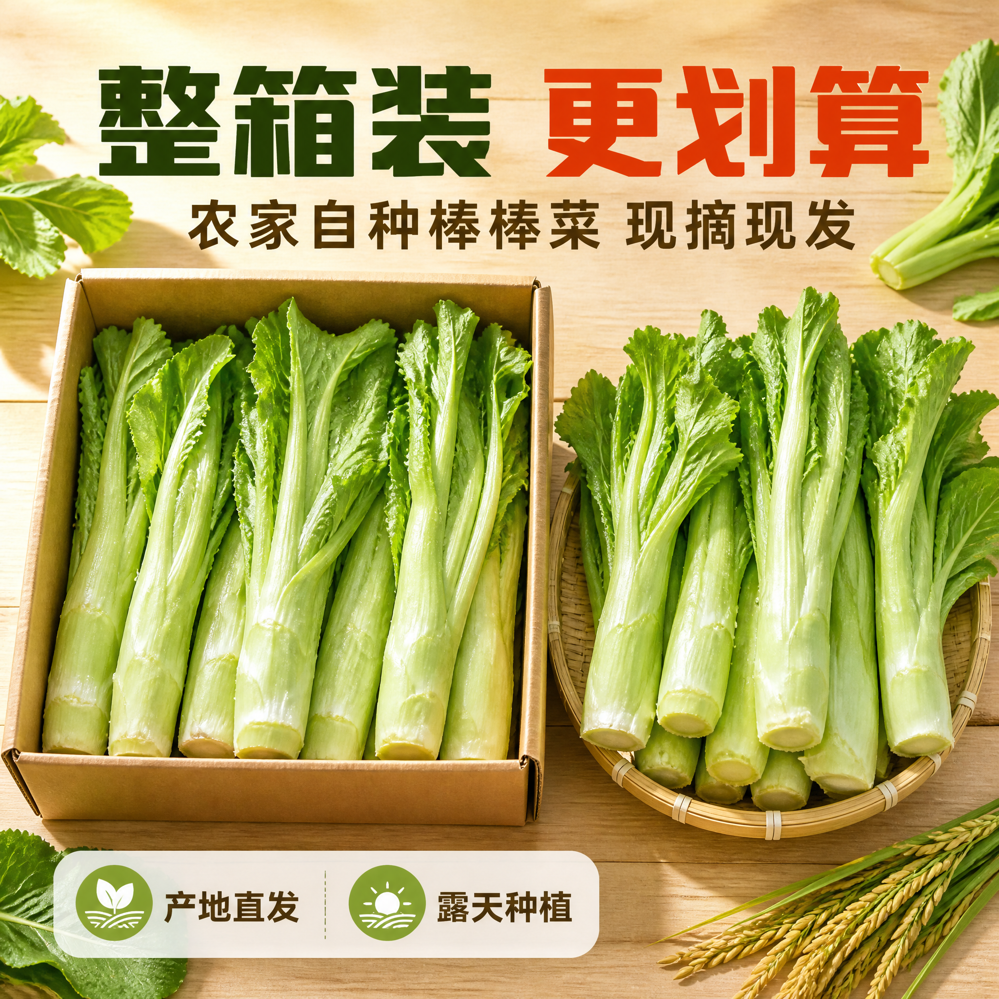 [主图-7] 农家自种棒棒菜（四川棒菜）整箱装图，唯一任务：用… - 图片创意预览