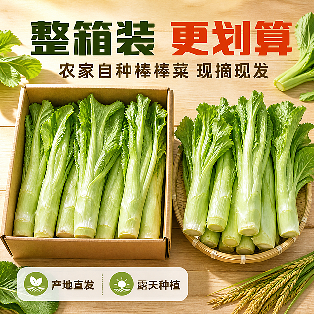 [主图-7] 农家自种棒棒菜（四川棒菜）整箱装图，唯一任务：用整箱陈列传递拼多多用户最看重的“一次买齐、更划算”。
[统一基调] 农田实拍 + 新鲜食欲感 + 拼多多式直白大字；暖阳绿白为主背景色，清晨暖阳光照；标题字深墨绿粗黑体，辅助字暖灰棕细黑体，强调词用橙红；信息卡为白色半透明圆角卡配细描边；自然暖阳逆光，叶片通透、茎面有水珠。
[画面] 垂直俯拍平铺，本图不出现人物与手部：浅色木质台面上并排摆放一只开口纸箱与一只浅竹筐，两者内部都整齐铺满带叶的棒棒菜，茎条粗壮顺直、切口新鲜、叶面带露水，箱内菜叶自然溢出一点；台面四角散落两片菜叶与一小把苝米作点缀；箱体不得出现任何印刷文字、胶带印与Logo；产品与箱筐合计占画面约70%，四周留出干净留白放文案。输入图顶部红色促销横条及其文字必须完全去除，不得复制原图任何文字与店铺信息。
[光影质感] 商业摄影平铺质感，暖阳从左上斜射，茎面有水熟高光与细小水珠，纸箱与筐底有真实接触影。
[配色] 沿用统一基调；木质暖棕、青白菜茎与翠绿叶面为主，橙红只用于强调词。
[文字版式] 上方横向排：大字主标“整箱装 更划算”，下方一行副标“农家自种棒棒菜 现摘现发”；左下白色半透明信息卡内横排两个短信息点“产地直发”“露天种植”；只用一种粗黑体，全部文字横排，禁止竖排、单字竖列、旋转与斜排；不得出现具体重量、数量数值与价格信息。
[输出要求] 1:1 方形，2K；箱筐内产品排布自然、不悬浮；负向：箱体印刷文字与胶带印、快递单、物流Logo、人物与手部、变形、色差、模糊、输入图文字与红色横条、错字与乱码、水印、二维码、平台Logo与角标、绝对化用语、冷蓝调。