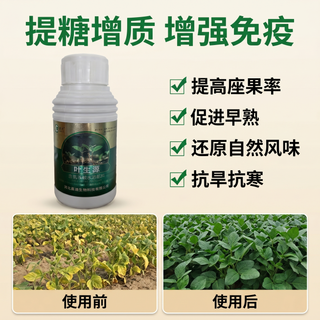[主图 3] 核心功效展示页。[氛围风格] 效果对比风，直观有说服力。[画质] 商业摄影质感、光线柔和通透、产品清晰真实、画面干净高级。[元素] 中心位置展示叶生源产品瓶体，保持产品外观与输入产品图绝预览效果