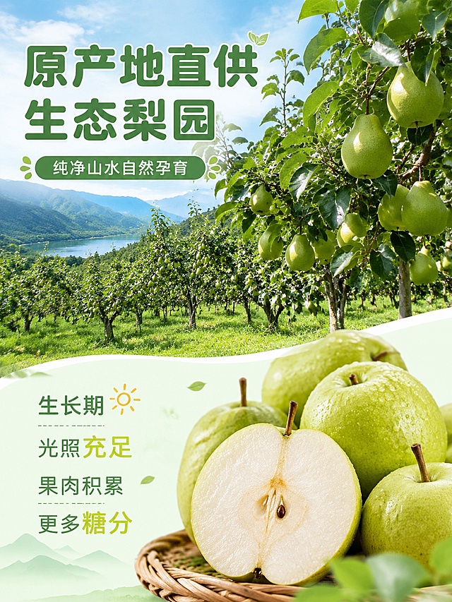 [第2屏] 产地展示屏-青皮皇冠梨原生态果园产地介绍。
[氛围/风格] 自然开阔田园风光，自然光线下清新治愈，真实摄影质感。
[元素布局] 画面上半部分是大片皇冠梨树种植园实景，连绵的梨树枝头挂满青皮皇冠梨，绿色叶片茂密，占屏约60%；下半部分是文案区和近景特写展示，将皇冠梨果实放大放在近景位置，产地元素占据主要画面，清晰直观。
[光影质感] 晴天自然光均匀铺洒，光影柔和，整体明亮通透，展现自然生态环境。
[配色色系] 全局底色 #EEF7F2；主色深绿树叶+浅绿背景；辅助色果实青色提亮。
[视角构图] 远景大场景+近景特写结合，景深过渡自然，上风光下文案，符合竖版阅读习惯。
[文字版式] 顶部主标题「原产地直供 生态梨园」，副标题「纯净山水自然孕育」；正文介绍「生长期光照充足，果肉积累更多糖分」文字排版错落，不遮挡核心风景和果实主体，圆角字体风格和首屏保持一致。
[比例分辨率] 3:4 竖版比例，4K 分辨率，文字清晰可辨，高清画质。
[负向提示词] 环境杂乱，果实缺失，文字遮挡主体，颜色灰暗，模糊。