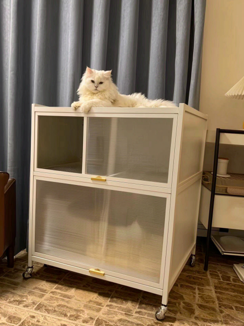 参考原图，生成猫咪站在猫柜第一层层板上的连贯场景买家秀照片，去掉水印，扩图扩展画面构图，真实自然居家环境，暖光清晰画质，保留产品和猫咪风格预览效果