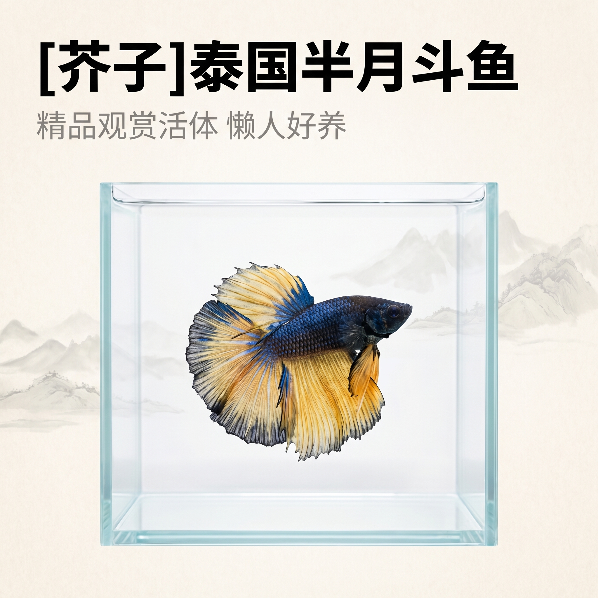 创意预览图