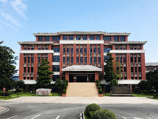 将建筑物大门入口处的屋顶（门廊屋顶）修改为干净的灰白色，去除污渍和发黑痕迹，保持屋顶瓦片的纹理质感，整体干净整洁，其余建筑、树木、天空、道路等环境保持不变，画面真实自然